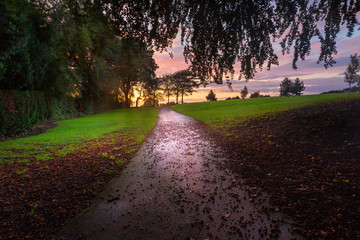 Sunset and a hazelnut tree at Ravenhill park near the Fforestfach area of Swansea, South Wales, UK.
