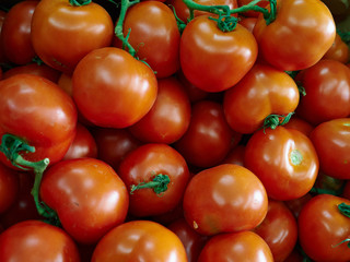 Delicious fresh ripe red tomatoes