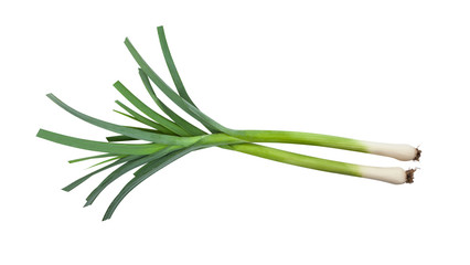 Fresh green leak isolated on white background
