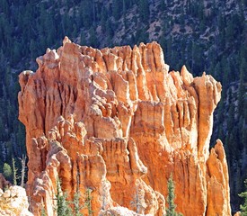 hoodoos in bryce canyon national park