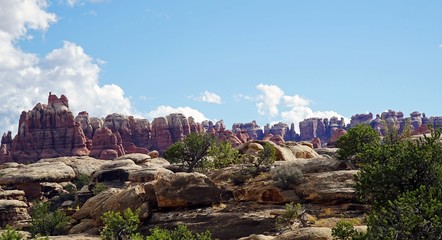 view of zion national park