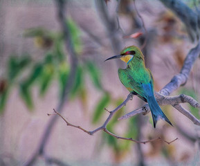Swallowtailed bee eater,photo art