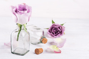 Pink rose in bottle