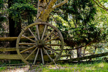 Fototapeta na wymiar Old wooden wheel from a cart on a beautiful background.