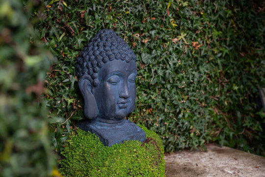 closeup black stone sculpture of a buddha head in a green plant niche in a garden. right view