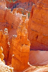 hoodoos in bryce canyon national park