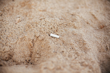 Cigarette butt in sand, marine trash on the beach. Plastic pollution on the beach.  Stop plastic pollution. Garbage at coast. Rubbish disaster. Ban single use