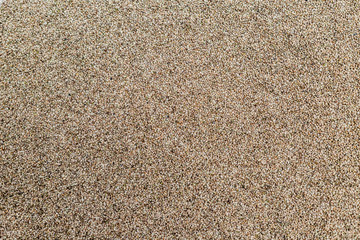 Background texture of CBD hemp seeds.