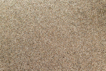 Background texture of CBD hemp seeds.