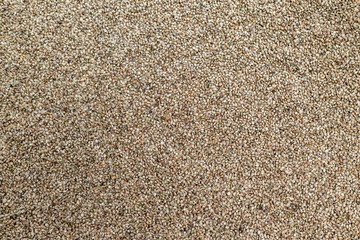 Background texture of CBD hemp seeds.