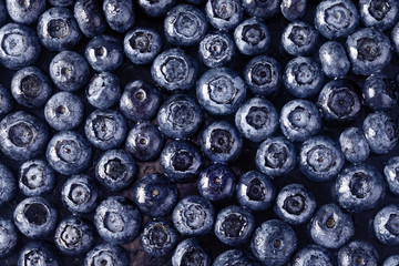 Fresh blueberry with drops of water on dark background. Top view. Concept of healthy and dieting eating