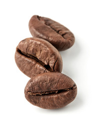Coffee beans close-up