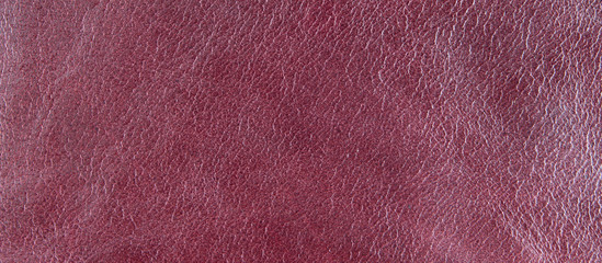 Multicolored leather texture closeup, trend background