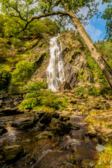 Waterfall between trees