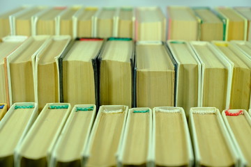  Books are on the shelves.