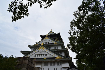 Fototapeta premium Osaka