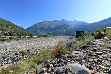 Landscape views of the Caucasus Mountains, river and villages. Peak and river Enguri. Georgia. Summer. 2019