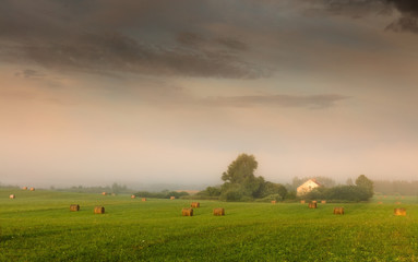 Piękno Polskiej Wsi - Sianokosy  © Wojciech Lisiński
