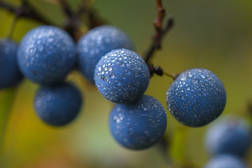 Allphotokz Turn 20190901 8663 D810