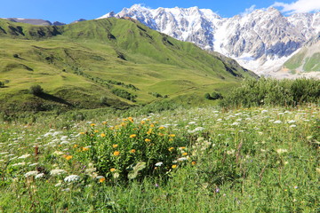 Landscape views of the Caucasus Mountains, river and villages. Peak and river Enguri. Georgia. Summer. 2019