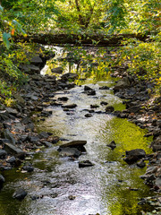 little stream in the fall