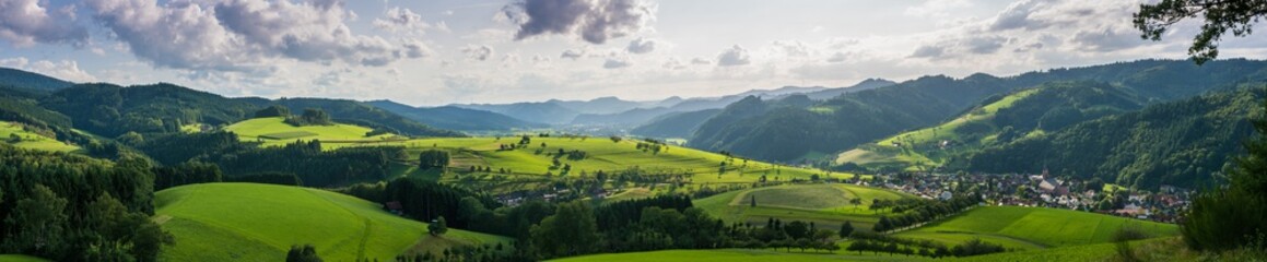 Landschaft mit dunklen Tannen und grünen Wiesen im Schwarzwald