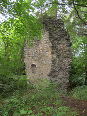 Holstejn castle ruins. Moravian Karst. Czech Republic