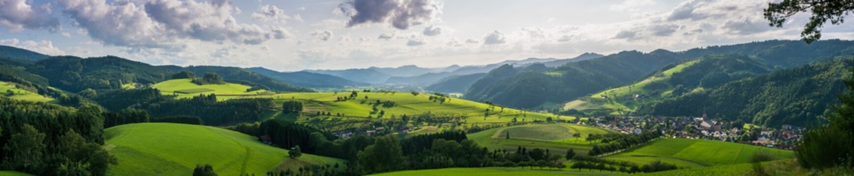 Landschaft mit dunklen Tannen und gr&uuml;nen Wiesen im Schwarzwald