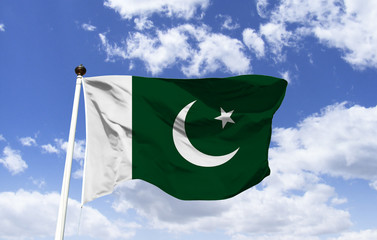 The flag of Pakistan, green represents the Muslim majority of the country, white refers to the...
