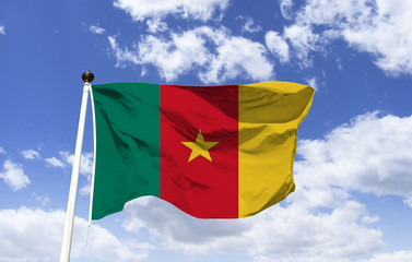 Cameroon Flag Model, officially republic, west central africa the colors of the flag refer to...