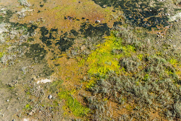 Mud Flats Background