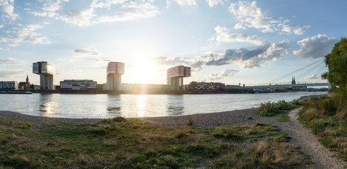 panoramic skyline view of the rhine shore in cologne with meadow in the foreground and crane houses with cathedral in the back on a sunny summer day on sunset