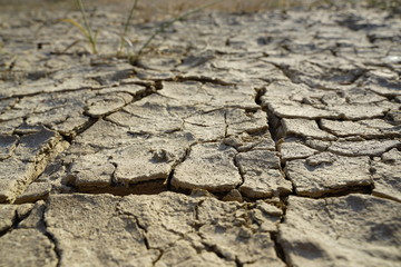 Trockene Erde