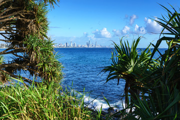 Beautiful scenery of Gold Coast skyline and surfing beach with rolling waves, visible through the trees at Burleigh Heads, Queensland, Australia.
