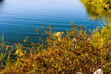 Fototapeta na wymiar autumn leaves on lake
