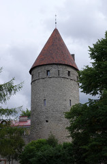 tour du mur d'enceinte de la vieille ville de Tallinn, Estonie