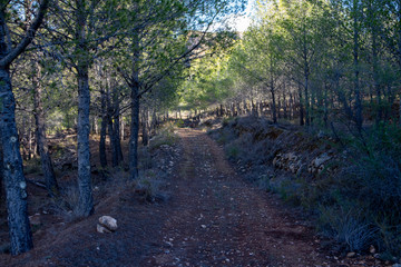 semi-arid landscape near Darrical (Spain)