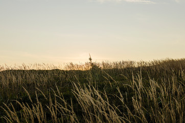 trawy połonin © wedrownik52