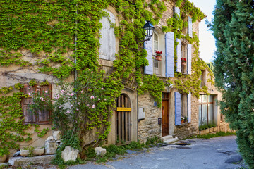 French village house and vines in Provence