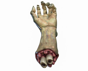 3D render of cutted Zombie hand, Halloween theme.