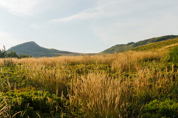 Bieszczady połonina Wetlińska