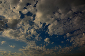 blue ciel 9