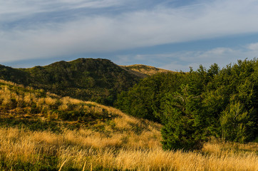 Bieszczady połonina Wetlińska