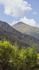 Fototapeta premium landscape in the mountains