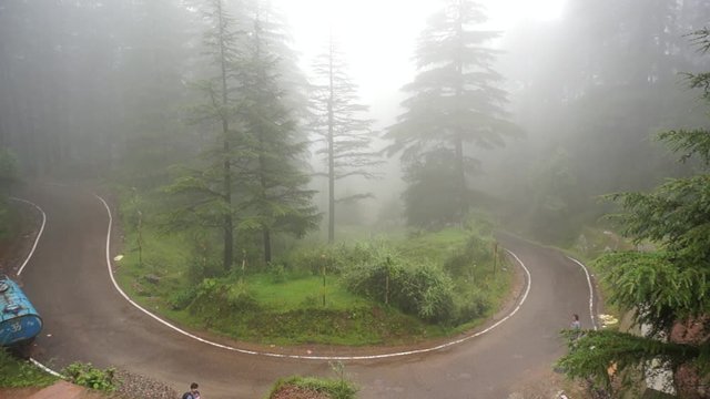 Aerial shot of a hairpin bend in the road street with coniferous trees on it and a blanket of fog shot in McLeodganj