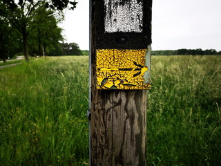 Gelbes Zeichen für Wanderer mit Markierung des Wanderweg an einem Holzpfahl vor grüner Wiese in Lipperreihe bei Oerlinghausen und Bielefeld am Hermannsweg im Teutoburger Wald in Ostwestfalen-Lippe