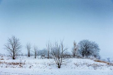 Winter landscape with trees and blue sky in cloudy weather_