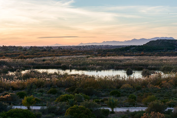 Clot de  Galvani. Paraje natural . Elche, España.
