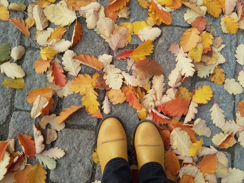 Yellow boots and yellow, red and bown leaves on the graund in park in autumn