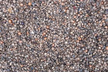Cracked Macademia Nut Shells as Road Pavement Material